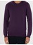 Erkek Mor Slim Fit Bisiklet Yaka Basic Triko Kazak 50270179-Vr038 6