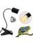 25W ve Ab Tutucu Stili 220V Sürüngen Isı Lambası Ampul Lambası Kaplumbağa Kaplumbağalar Için Isıtma Duy Termometre Higrometre Kaplumbağa Kaplumbağalar Basking (Yurt Dışından) 3