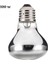 100W Tarzı 50W 100W E27 Sürüngen Lamba Ampulü Kaplumbağa Basking Ampuller Isıtma Lambası Amfibiler Kertenkeleler Isı Verici Lamba Ampulü (Yurt Dışından) 1
