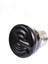 Beyaz 100W Tarzı E27 Farınfrared Seramik Pet Isıtma Lambası Kertenkele Kaplumbağa Örümcek Sürüngenler Kutusu Isıtıcı Isıtıcı Isı Ampul Brooder Yöntemi (Yurt Dışından) 5