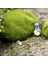 Yeşil Stil 8cm 1 Adet Karınca Çiftliği Dekorasyon Yapay Mini Moss Taşlar Karınca Yuvası Karınca Evi Aksesuarları Karınca Yuvası Atölyesi Için Mikro-Peyzaj Dekor (Yurt Dışından) 5