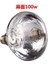 B-100W Tarzı Kalınlaşmış Isıtma Lambası Yetiştiriciliği Ampul Yüksek Li E27 LED Işık Pet Brooder Hatken Domuz Isıtıcı Ampuller (Yurt Dışından) 1