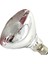B-100W Tarzı Kalınlaşmış Isıtma Lambası Yetiştiriciliği Ampul Yüksek Li E27 LED Işık Pet Brooder Hatken Domuz Isıtıcı Ampuller (Yurt Dışından) 5
