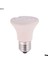 75W Tarzı Et Isıtma Lambası 25W 50W 75W 100W E27 Pet Isıtma Işığı Seramik Verici Isı Ampul Pet Brooder Sürüngen Lambası Isı Lambası (Yurt Dışından) 1