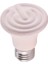 75W Tarzı Et Isıtma Lambası 25W 50W 75W 100W E27 Pet Isıtma Işığı Seramik Verici Isı Ampul Pet Brooder Sürüngen Lambası Isı Lambası (Yurt Dışından) 2