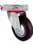 Fivestar Döner Servis Tekeri 100 mm 1