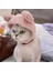 Açık Sarı Stil Noel Şapka Cadılar Bayramı Pet Kostüm Kedi Köpek Yavrusu Kostümleri Için Eşarp Hediye Yeni Yıl Santa Kış Cosplay Cadılar Bayramı Köpek Kedi Kaynağı (Yurt Dışından) 1