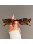 Yarım Çerçeve Küçük Kedi Göz Güneş Kadınlar Trendy Vintage Kompozit Shades Gözlük Moda Lüks Marka Tasarımcısı Güneş Gözlüğü (Yurt Dışından) 3