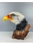 Kartal Dekoratif Biblo Heykel 29 cm x 30 cm 4