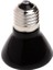 50W Tarzı 220V Küçük Mini Seramik Yayıcı Isıtıcı Lamba Işık Ampulleri Uzak Kızılötesi Isıtma Yavru Yatağı (Yurt Dışından) 4
