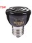 75W Tarzı 25W 50W 75W 100W Pet Isıtma Lambası Seti Uzak Kızıl Seramik Pet Emicisi Isıtma Işığı Pet Yavru Sürüngen Lambası Ampuller (Yurt Dışından) 1