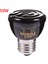 50W Tarzı 60W W E27 Evcil Hayvan Isıtma Lambası Kızılötesi Seramik Isıtıcı Isı Lambası Evcil Hayvan Kümes Sürüngen Lambası LED Kırmızı Sürüngen Gece Lambası (Yurt Dışından) 1