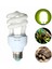 UVB10.0 Stili Sürüngen Lambası Ampul Kaplumbağa Isıtma Uv Işık Ampulleri Isı Lambası Aracı Amfibiyanlar Kertenkeleler Sıcaklık Kontrol Cihazı E Uvb 13W (Yurt Dışından) 3