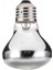100W Tarzı E27 Pet Isıtma Lambası Amfibi Yılan Lambası Sıcaklık Sürüngen Ampul Işık 50W 100W Sürüngen Evcil Hayvan Isıtıcı Lamba Ampulü (Yurt Dışından) 2