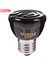 Siyah 100W Tarzı Yeni Seramik Kaplı Sürüngen Isıtma Lambası Kaplumbağa Kertenkele Örümcek Kutusu Isıtıcı Işık Ampulleri 20W 50W 75W 100W Ünlü (Yurt Dışından) 1