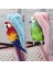 Pembe Tarzı 15X22 Kuş Şal Yuva Çadır Şekilli Kış Sıcak Köşe Papağan Muhabbet Kuşu Muhabbet Kuşu Pamuk Yuva Kuş Battaniye Küçük Hayvan Pelerin Kafes Dekorasyonu (Yurt Dışından) 2