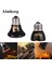 220V 50W Tarzı E27 Pet Isıtma Lambası Mini Kızılötesi Seramik Isıtıcı Ampul Kertenkele Isıtma Işığı Kutusu Isıtıcı Işık Ampulleri (Yurt Dışından) 4