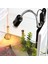 Beyaz Tutucu ve 50W Stili Kurbaga Kaplumbağa Iguana Için Ayarlanabilir Isı Lambası Tutucu Sürüngen Akvaryum Isıtma Lambası Kit'i (Yurt Dışından) 3