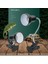 3 Adet 50W Ampul Tarzı Uva+Uvb 3.0 Sürüngen Lambası Tutucu Seti ile Klipsli Termometre Higrometre Kertenkele Kaplumbağa Kaplumbağalar Isıtma Ampulü 220V (Yurt Dışından) 3