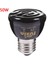 50W Tarzı E27 Evcil Hayvan Isıtma Lambası Seramik Kertenkele Kaplumbağa Örümcek Sürüngen Kutusu Isıtıcı Isı Ampulü Kuluçka Makinesi 25W 50W 75W 100W 220V (Yurt Dışından) 1