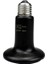 50W Lamba 75MM Stili E27 Isı Lambası Evcil Hayvan Sürüngen Uzaktan Kızılötesi Seramik Isıtma Lambası 220V Mini Isı Verici Işık Ampulü 25W 50W 75W 100W 150W 200W (Yurt Dışından) 1