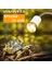 110V E27 25W Stili Tortoise Lizard Basking Lambası 25W 50W 75W 100W Evcil Isıtma Ampulü Kertenkele Yılan Kaplumbağa Sürüngen Isıtma Lambası Uva + Uvb Güneş Işığı (Yurt Dışından) 2