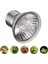 25W 110V Tarzı Sürüngen Lamba Ampul Brünzleme Güneş Lambası Uva Uvb Işık Kertenkele Kaplumbağa Tırmanma Evcil Hayvanlar Ampul Sıcaklık Kontrol Ürünleri (Yurt Dışından) 3