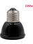 100W Tarzı 25W 50W 75W 100W Evcil Hayvan Isıtma Lambası Siyah Kızılötesi Seramik Isıtıcı Isı Lambası Evcil Hayvan Yavruları Sürüngen Lambası (Yurt Dışından) 1