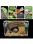 20X15X15CM Stili Şeffaf Büyük Dayanıklı Akrilik Terraryum Sürüngen Kutusu Pet Malzemeleri Soğukkanlı Hayvanlar Sürüngen Evcil Böcek Ev Dekorasyonu (Yurt Dışından) 3