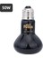 Siyah 50W Tarzı Sürüngen Lambası Minik Evcil Isıtma Lambası E27 Uv Gündüz Gece Amfibi Kaplumbağa Yılan Lambası Isıtma Sürüngen Ampul Işık Ac (Yurt Dışından) 1