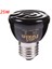 25W Tarzı 25W 50W 75W 100W E27 Pet Isıtma Lambası Siyah Kızılötesi Isıtıcı Seramik Emici Isı Lambası Pet Yavru Sürüngen Lambası 220V - 230V (Yurt Dışından) 1