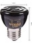25W Tarzı 25W 50W 75W 100W E27 Pet Isıtma Lambası Siyah Kızılötesi Isıtıcı Seramik Emici Isı Lambası Pet Yavru Sürüngen Lambası 220V - 230V (Yurt Dışından) 3