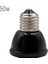 220V 50W Tarzı Minyatür Kızılötesi Seramik Isıtıcı Ampul 220V Evcil Hayvan Mini Isıtma Lambası 25W 50W 75W Siyah Sürüngen Evcil Hayvan Yavrulama Lambası (Yurt Dışından) 1