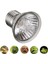 25W 110V Tarzı Sürüngen Lamba Ampul Bronzlaşma Güneş Lambası Uva Uvb Işık Kertenkele Kaplumbağa Tırmanma Evcil Hayvanlar Ampul Sıcaklık Kontrol Ürünleri (Yurt Dışından) 4