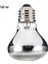 50W Tarzı E27 Isıtma Ampulü 50W 100W Sürüngen Yılan Kaplumbağa Isıtma Lambası Seramik Isıtıcı Isı Işık Ampulü Evcil Hayvan Yavrulayıcı Sürüngen Lambası (Yurt Dışından) 1