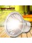 Siyah ve 50W Lamba Stili 220V Uv Isıtma Lambası Seti Kaplumbağalar Kertenkele Aydınlatma Sürüngen Lambası Kiti Klipsli Seramik Işık Tutucu Kaplumbağa Güneşlenme Uva+Uvb 3.0 (Yurt Dışından) 2