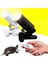 Siyah ve 50W Lamba Stili 220V Uv Isıtma Lambası Seti Kaplumbağalar Kertenkele Aydınlatma Sürüngen Lambası Kiti Klipsli Seramik Işık Tutucu Kaplumbağa Güneşlenme Uva+Uvb 3.0 (Yurt Dışından) 3