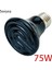 Seramik Ampul 75W Tarzı Kaplumbağa Isıtma Lambası Mini Evcil Isıtma Ampibi Lambası Kertenkele Sabit Sıcaklık Ultraviyole Lamba Sürüngen Kızılötesi Seramik Isıtıcı (Yurt Dışından) 1