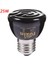 Siyah 25W Tarzı Kaplumbağa Kertenkele Örümcek Sürüngen Kutusu Isıtıcı Işık Ampulleri Hediye Için Far Infrared Seramik Evcil Hayvan Isıtma Lambası (Yurt Dışından) 1