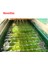 1 Adet Yeşil Stil 50CM Uzunluğunda Koi Havuzu Filtre Fırçası Büyük Filtre Ön Filtre Skimmer Fırçası Koi Balığı Filtrasyon Sistemi Akvaryum Balık Tankı Filtre Fırçası Için Gölet (Yurt Dışından) 5