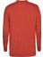 Erkek Sweatshırt 12148729-FIERY-RED 2