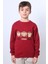 Erkek Çocuk Şardonlu Sweat Karakter Baskılı Ribanalı E34 1
