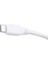 Dk Cb USB31OTG2 Type C USB Dönüştürücü Otg Kablo 4