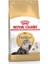 Persian Adult Yetişkin Iran Kedisi Maması 4 kg 1
