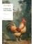 Horoz ile İnci Tanesi - İvan Krilov 1