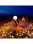 Güneş Enerjili Bahçe Işıkları, 6'lı Paket 8 LED Güneş Enerjili Işıklar Açık Hava Su Geçirmez, Bahçe Verandası Için Rüzgarla Sallanan Firefly Yol Işıkları (Yurt Dışından) 2