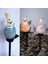 Bunny Solar Bahçe Kazık Işıkları Paskalya Yol Lambası Su Geçirmez Dekorasyon Açık Hava Veranda Bahçe Çimler Avlu Dekor-C (Yurt Dışından) 2
