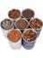 150G Tarzı Çubuklar Kaplumbağa Kaplumbağa Sürüngen Hamster Kurutulmuş Frimp Kırmızı Solucan Akvaryum Balık Yemi - Türkiye E-Ticaret Ürün Başlığı (Yurt Dışından) 2