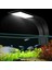 X5 W-Bw Eu-Fiş Stili Süper Ince Akvaryum LED Aydınlatma Clip On Çift Lambalı Taze Su Bitkileri Büyüme Işığı LED Akvaryum Nano Balık Tankları Için (Yurt Dışından) 2