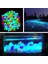 No.7 Tarzı 200 Adet Akvaryum Süs Taşları Işıldayan Koyu Taşlar Bahçe Süsü Için Glow In The Dark Luminous Çakıl Taşları (Yurt Dışından) 3